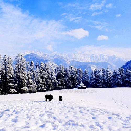 WORK FROM HIMALAYAS