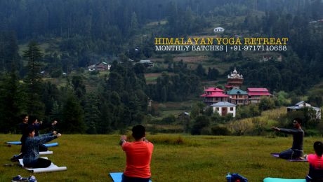 HMRA YOGA