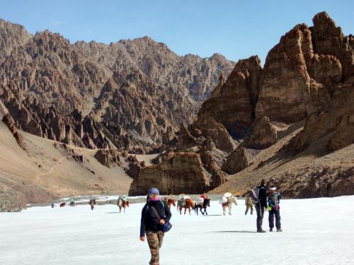 WhatsApp Image 2018-04-14 at 4.52.30 PM